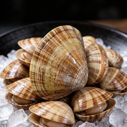 Fresh Clam