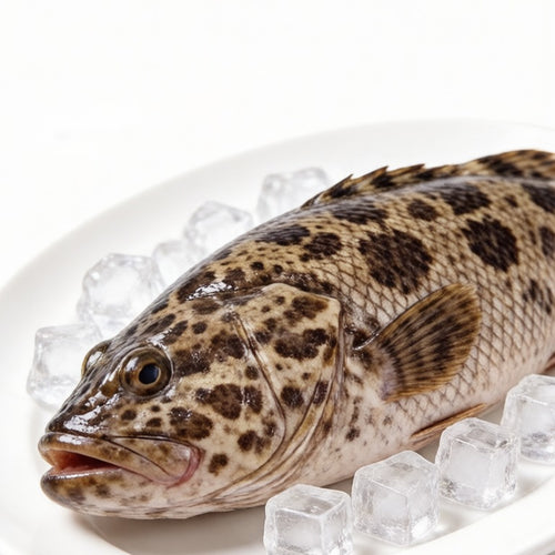 Grouper