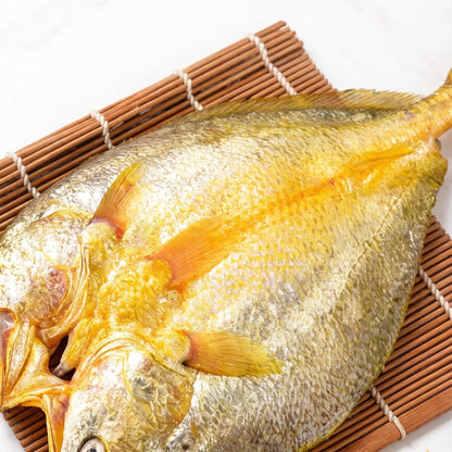 Large Yellow Croaker