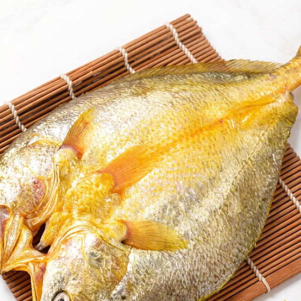 Large Yellow Croaker
