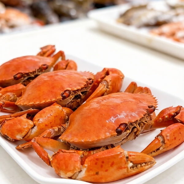 Mud Crab